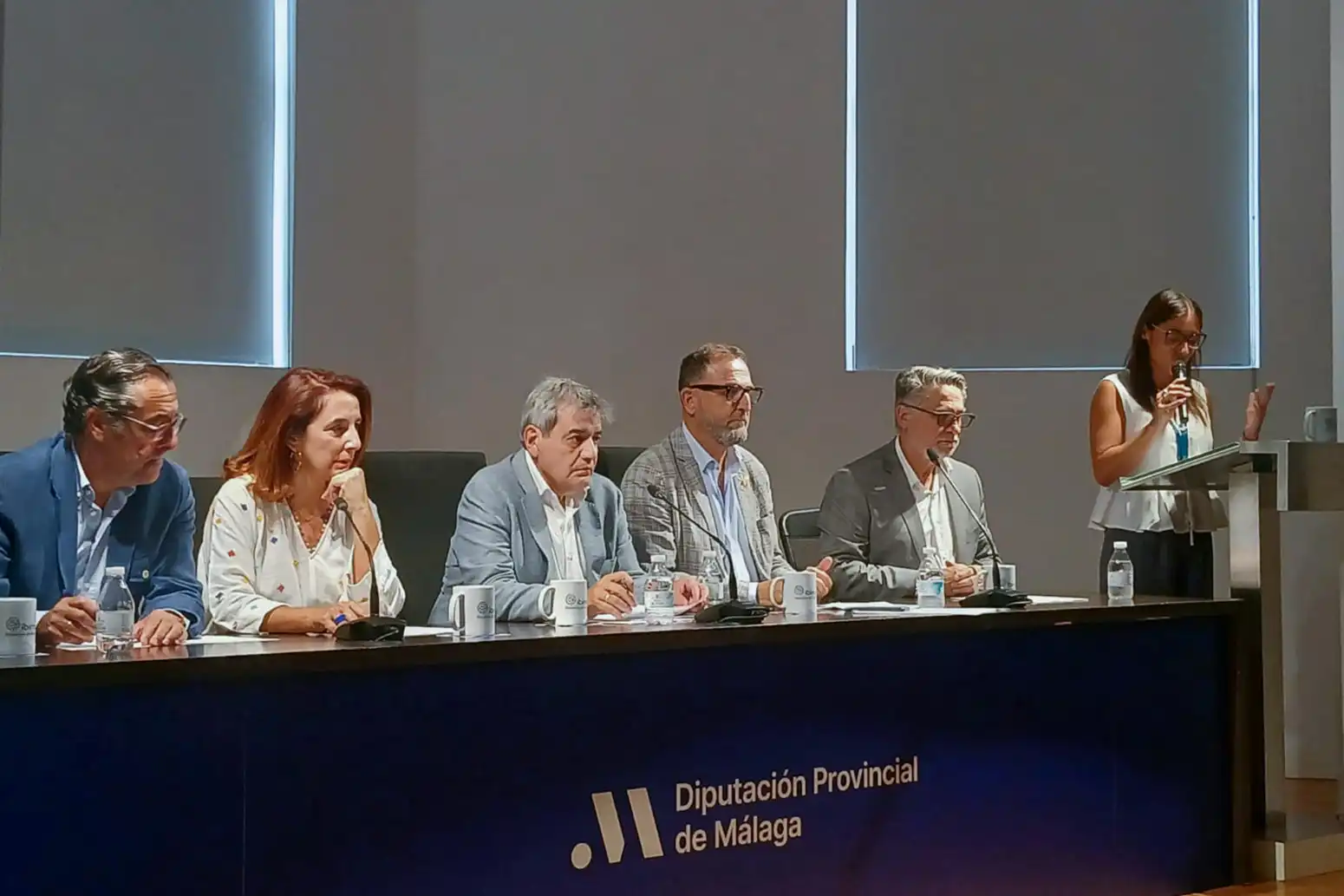 2 - IMPACTO SOCIAL DIPUTACIÓN