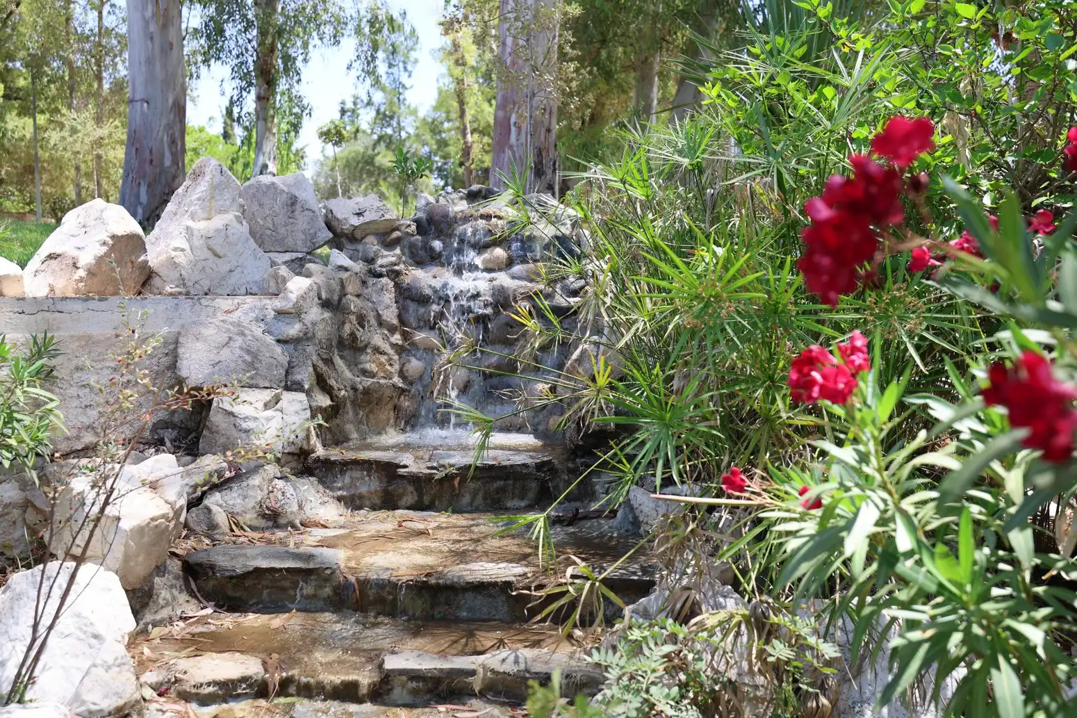 La Noria de Diputación recrea un refugio bioclimático acuapónico en sus jardines 4 36 - LA NORIA Y REFUGIO ECOLÓGICO