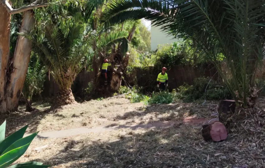 9 - LIMPIEZA DE CAUCES DE BENALMADENA