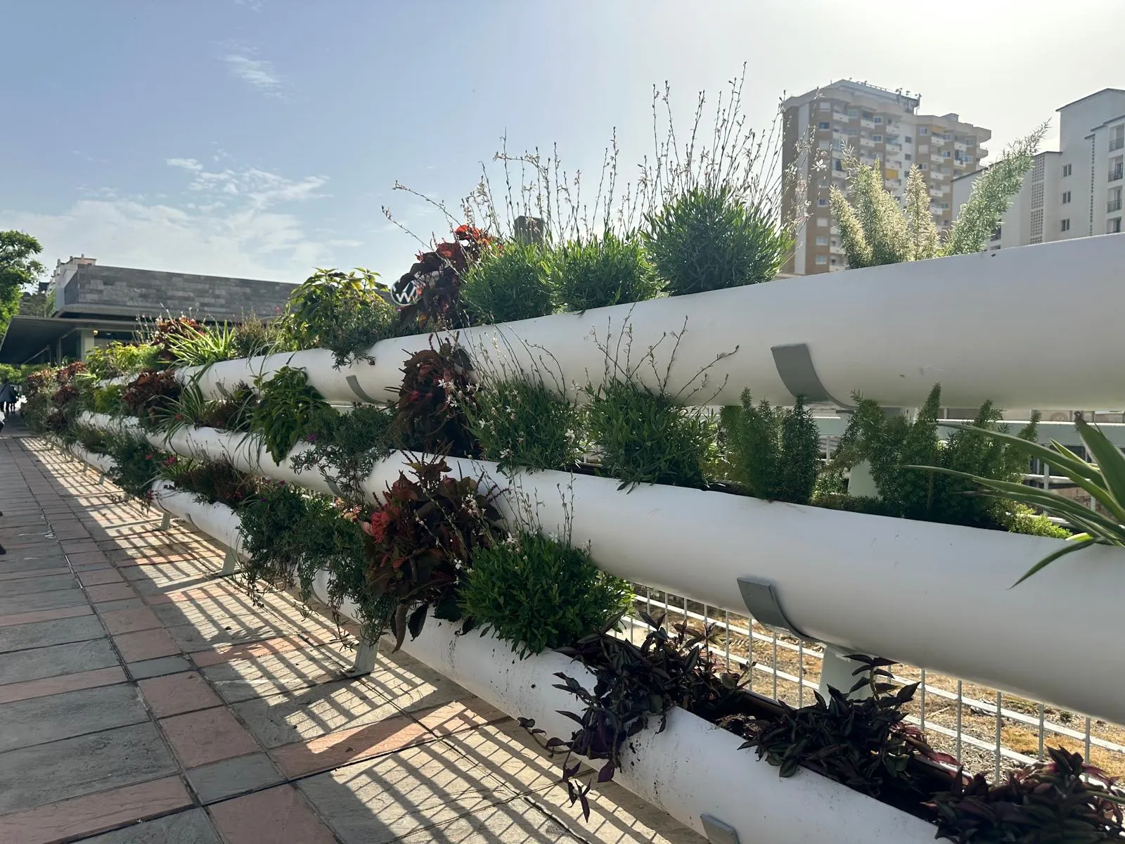 41 - JARDINES VERTICALES FUENGIROLA