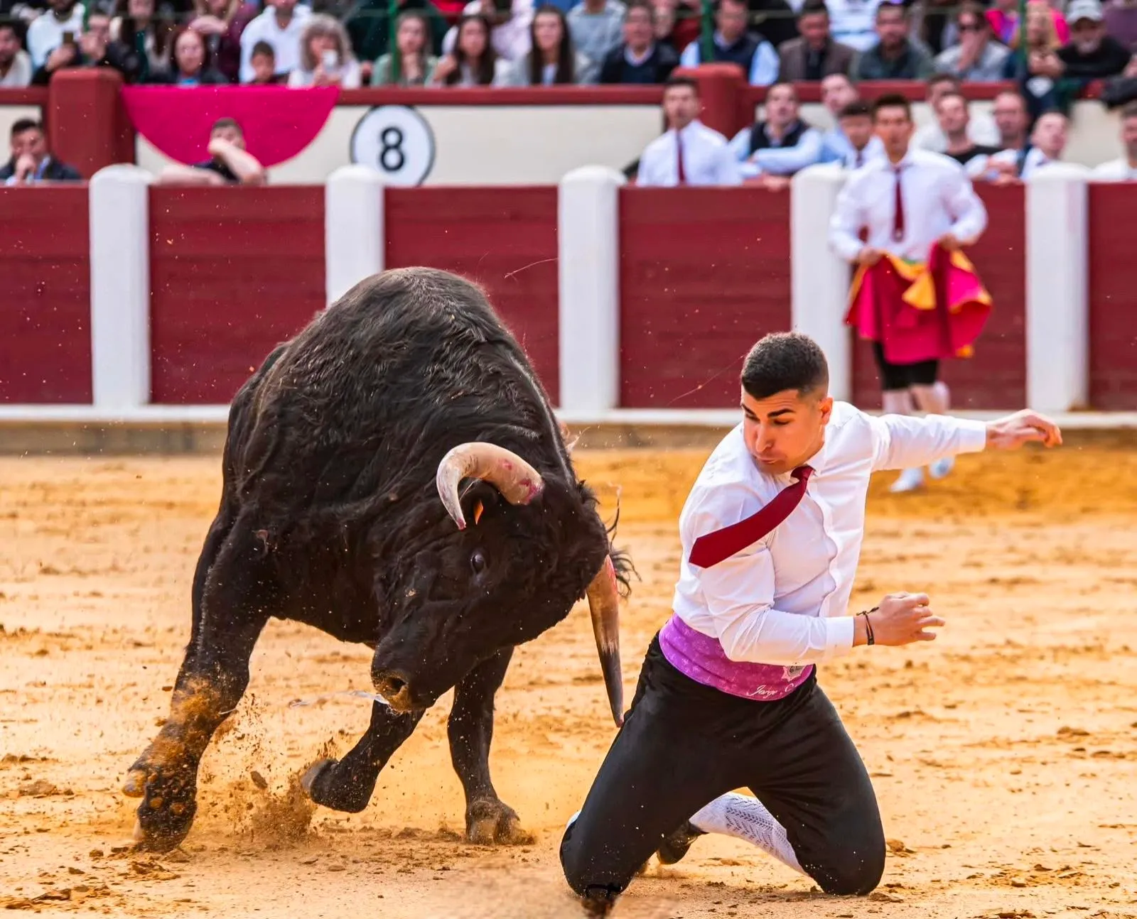 Concurso de recortadores, adrenalina y emoción en estado puro para disfrutar en familia el día 8 en Málaga 2 43 - RECORTADORES LA MALAGUETA