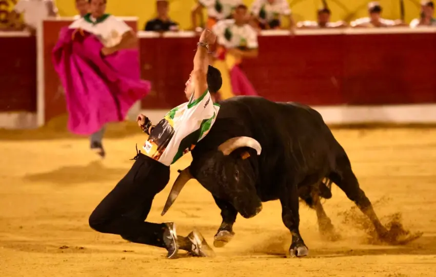 44 - RECORTADORES LA MALAGUETA