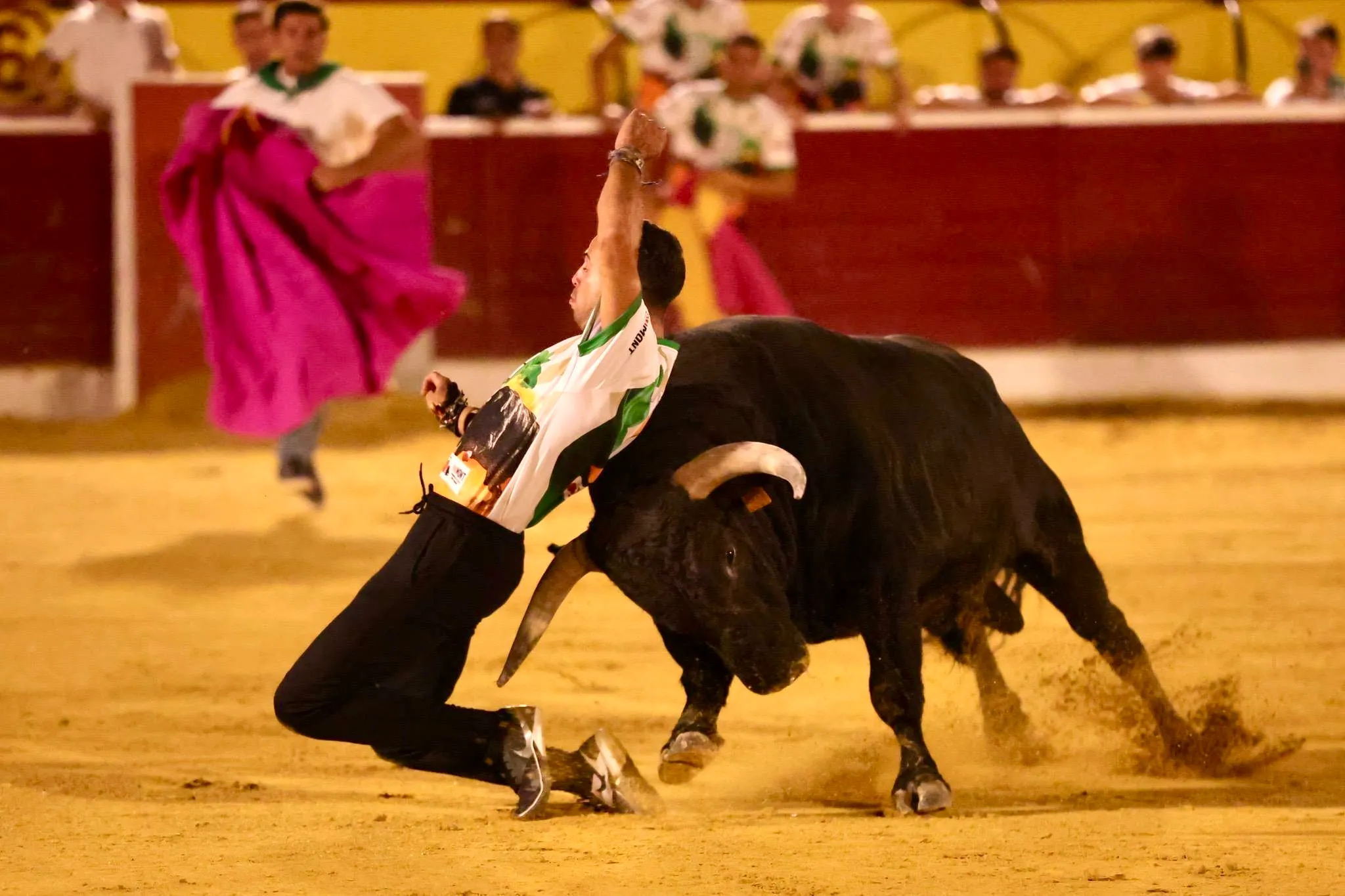 44 - RECORTADORES LA MALAGUETA