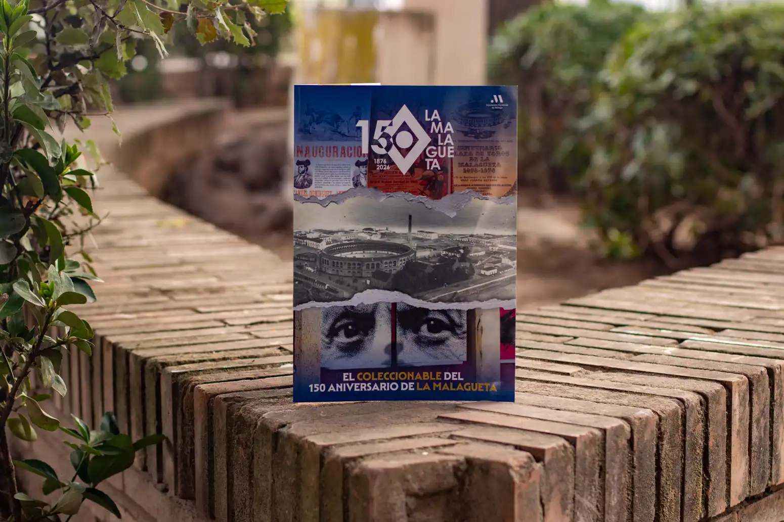 5 - COLECCIONABLE LA MALAGUETA