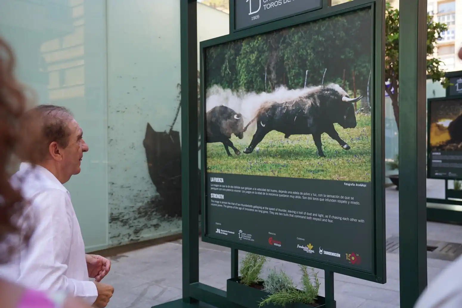 La Diputación colabora con la muestra ‘Toro Bravo, el guardián de la biodiversidad’, 3 62 - TORO BRAVO EXPOSICIÓN