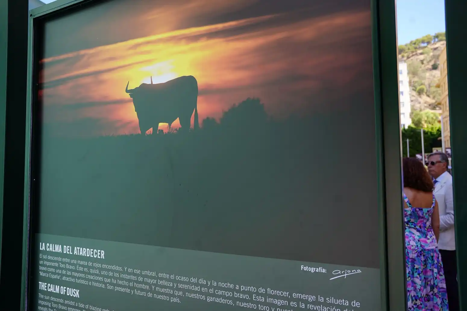 La Diputación colabora con la muestra ‘Toro Bravo, el guardián de la biodiversidad’, 4 63 - TORO BRAVO EXPOSICIÓN