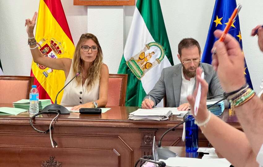 Aprobacion definitiva ordenanza urbanizaciones 2