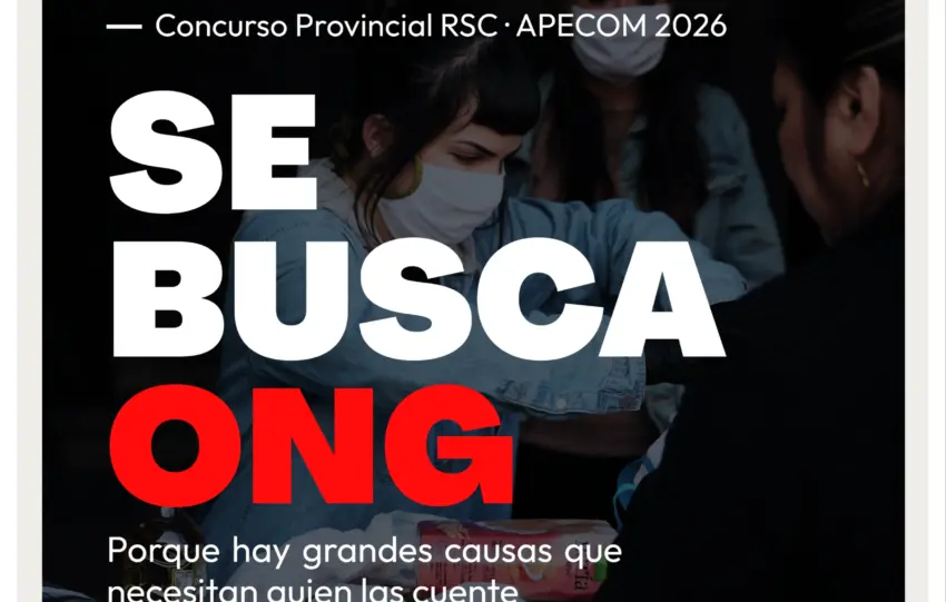 SE BUSCA ONG