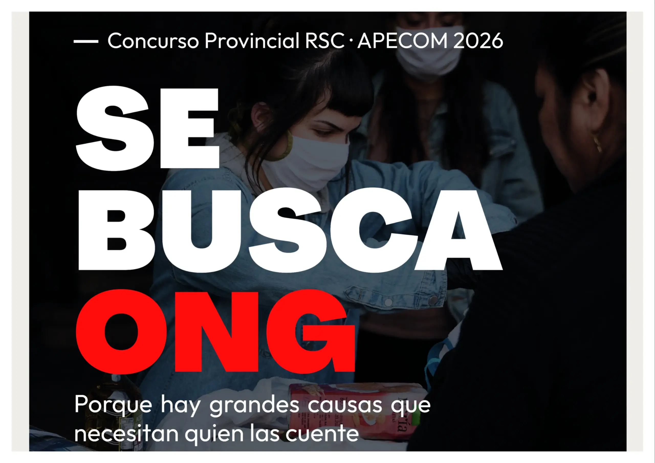 SE BUSCA ONG
