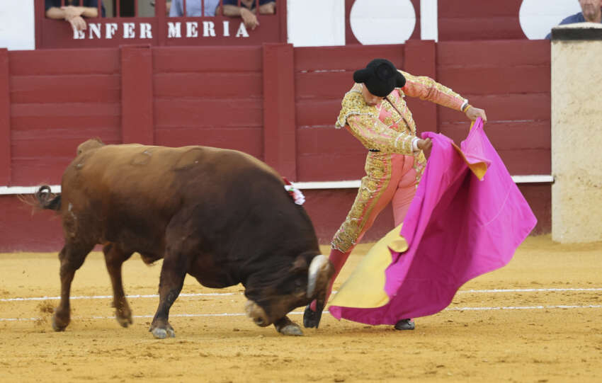 neyzan toros la malagueta