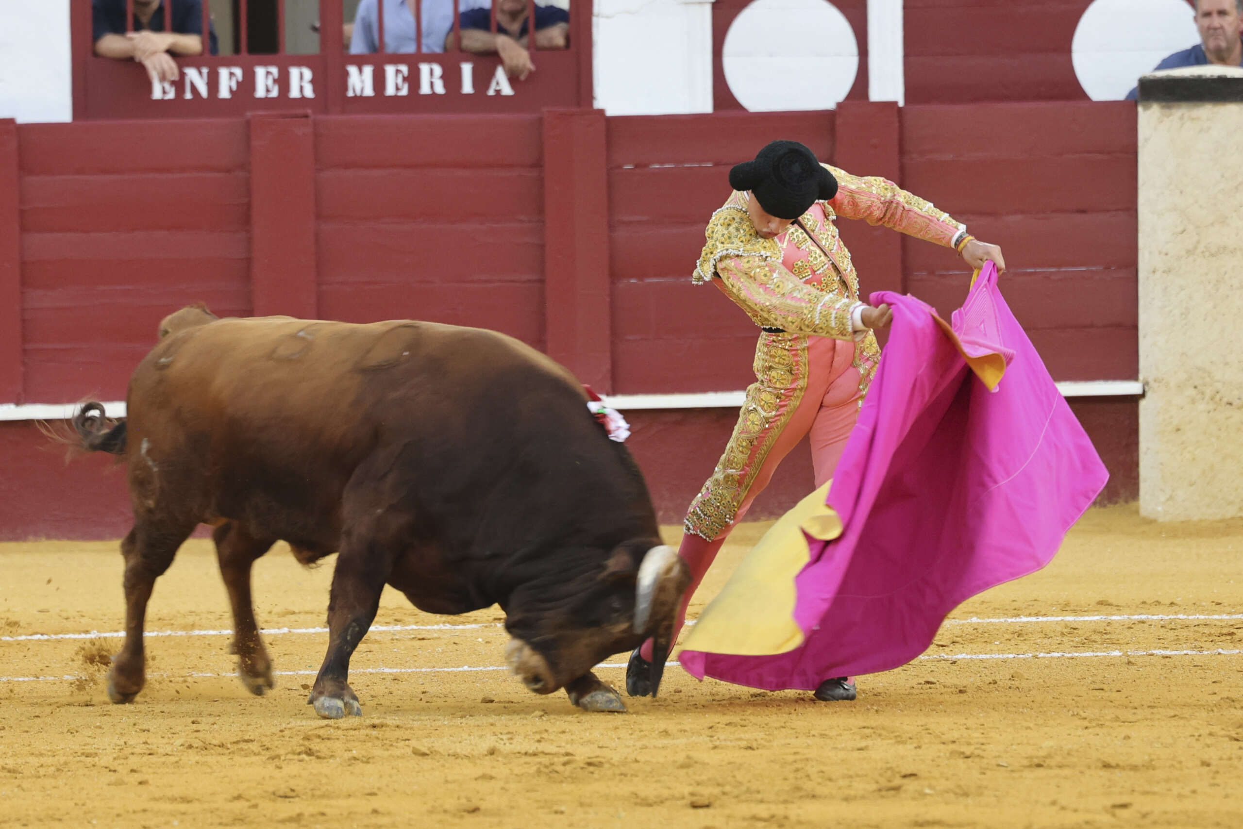 neyzan toros la malagueta