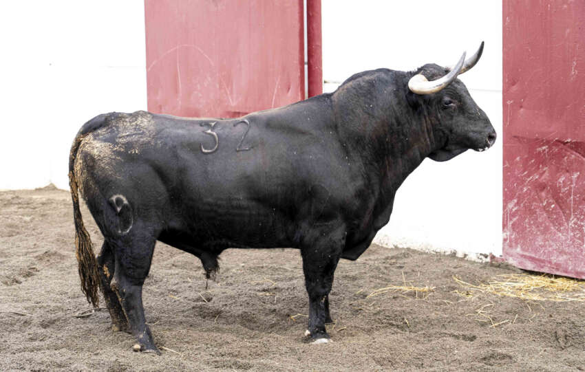 victoriano toros lidea malaga