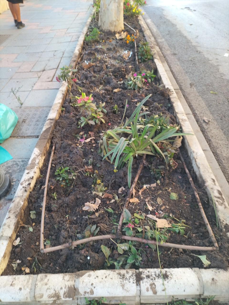 Radio Marca 38 Jardines de Mijas 13