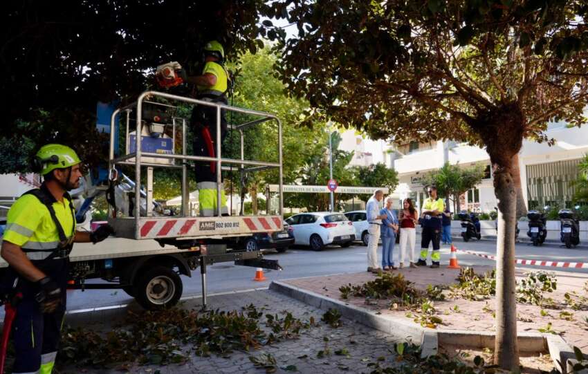 Mula y Sanchez observan junto a varios tecnicos el trabajo de los operarios de Ecologia Urbana