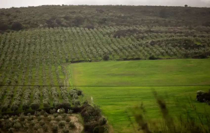 diputacion campo.jpg