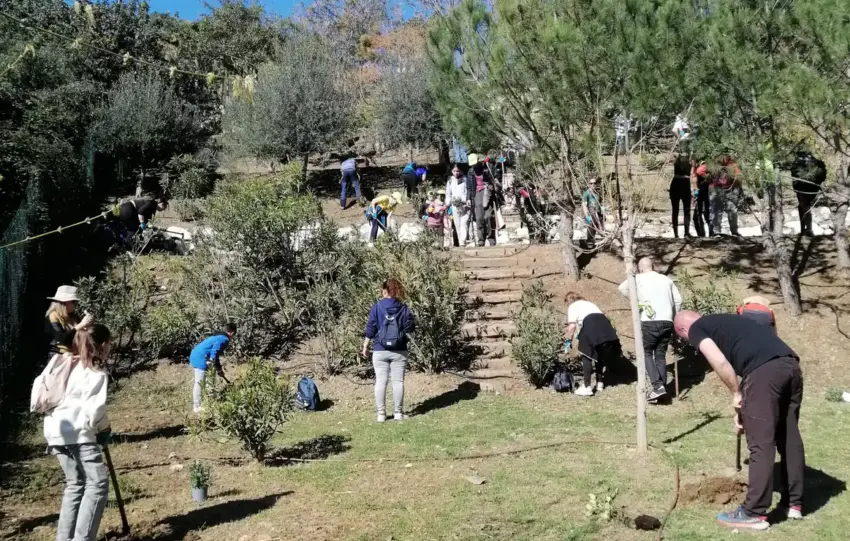 diputacion arbolada.jpg