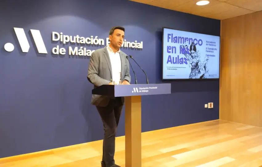diputacion flamenco.jpg 1