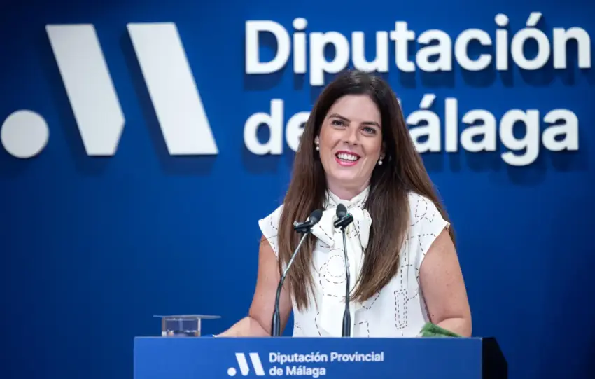 pizarran diputacion.jpg